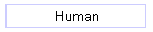 Human